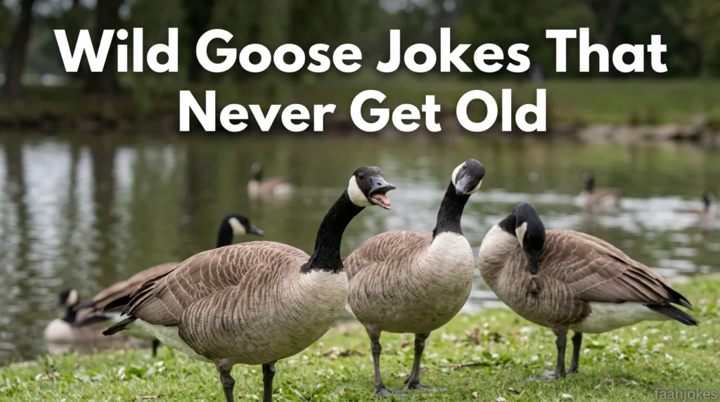 Wild Goose Jokes That Never Get Old